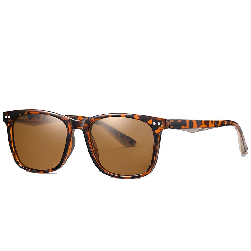 ALFORD SUNGLASSES